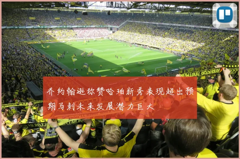 乔约翰逊称赞哈珀新秀表现超出预期马刺未来发展潜力巨大
